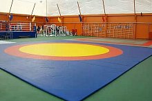 Ковер борцовский тренировочный 6*6 м