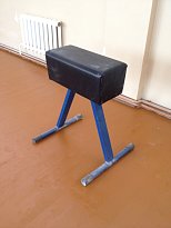 Козел гимнастический 600*300*920 мм м/к (Синий) ,кожзам (Черный)