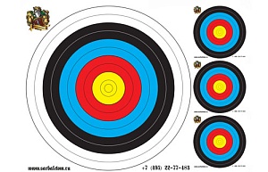 Мишень для стрельбы 800*600 мм