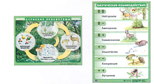 Плакат "Биотические взаимодействия/ Строение экосистемы"