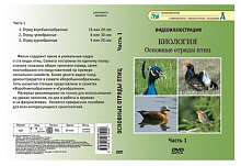 Видеофильм на DVD " Основные отряды птиц " ч.1