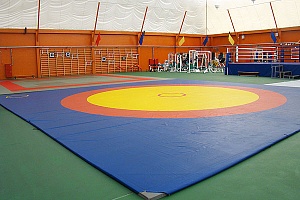 Ковер борцовский 11*11 м